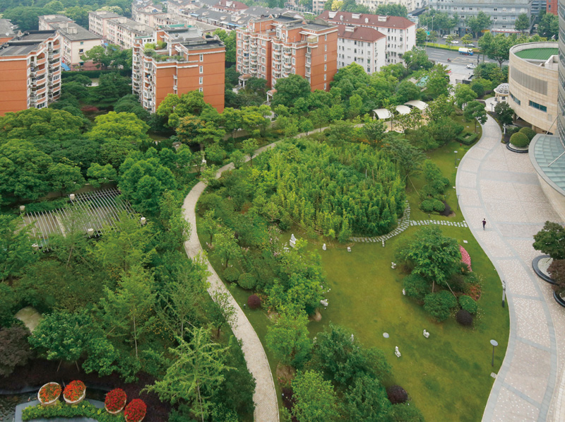 上海汇京国际广场绿化